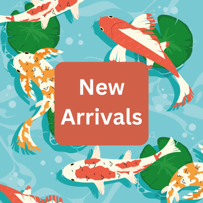 New Arrivals