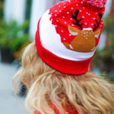 "Oh Deer" Rudolph Reindeer Pom-Pom Beanie