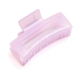 Large Jelly Claw Clip Set of 4