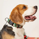 Christmas Pet Collars