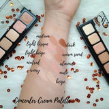 Correct & Conceal Cream Palette