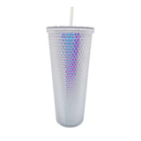 24oz Iridescent Studded Tumblers